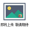 專業(yè)訂做各種溫度監(jiān)測儀/軸瓦數(shù)字溫控儀WP-C803-02-09-HH